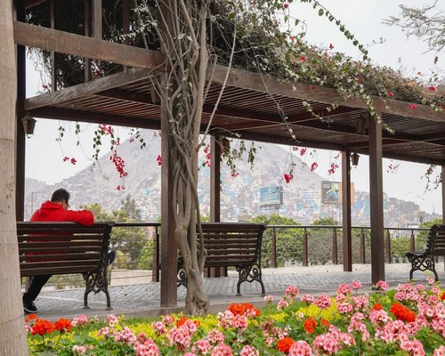 Person relaxing on a bench in Lima