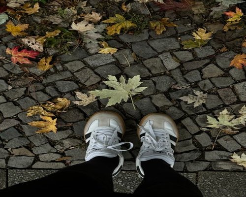 Comfortable walking shoes on a cobblestone street